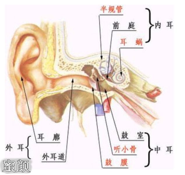 案例图片