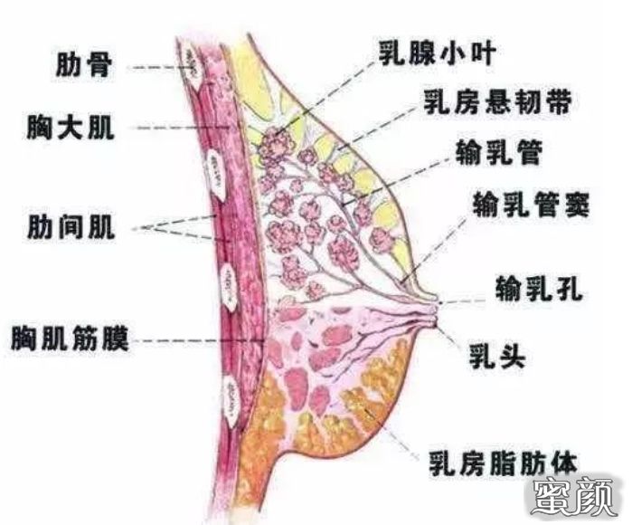 案例图片