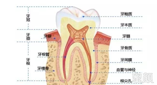 案例图片