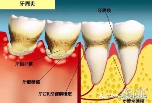 https://img.miyanlife.com/mnt/timg/170605/0FIL391-5.jpg