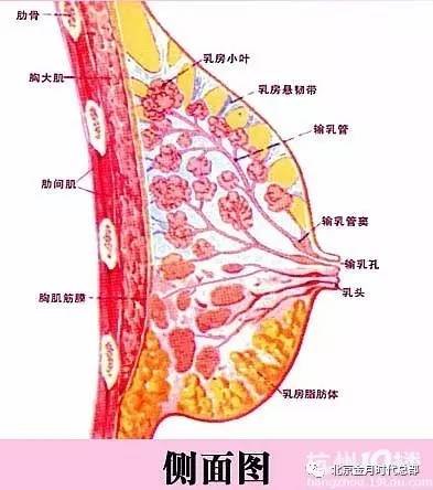 案例图片