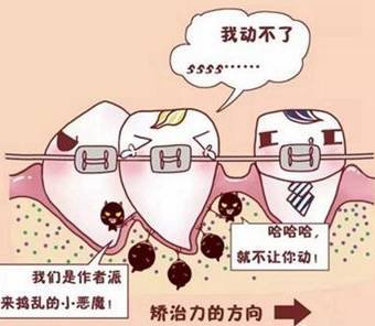 https://img.miyanlife.com/mnt/timg/170609/214Q23Q1-2.jpg