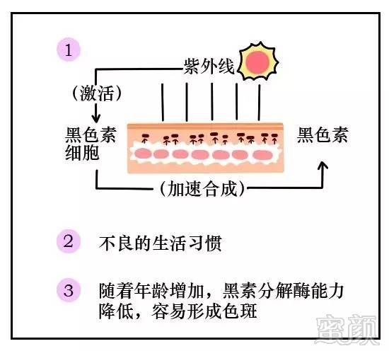 案例图片