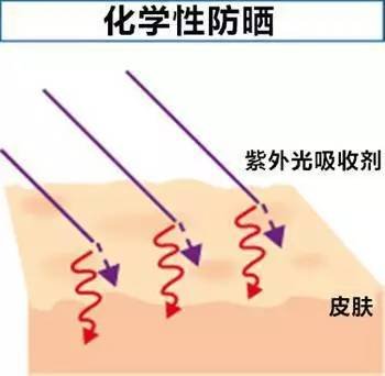 案例图片