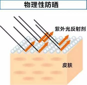 案例图片