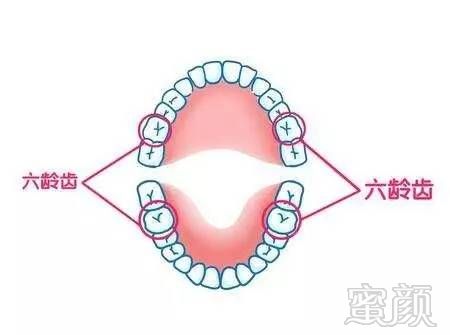 案例图片