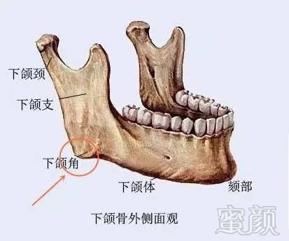 https://img.miyanlife.com/mnt/timg/170613/142433M60-6.jpg