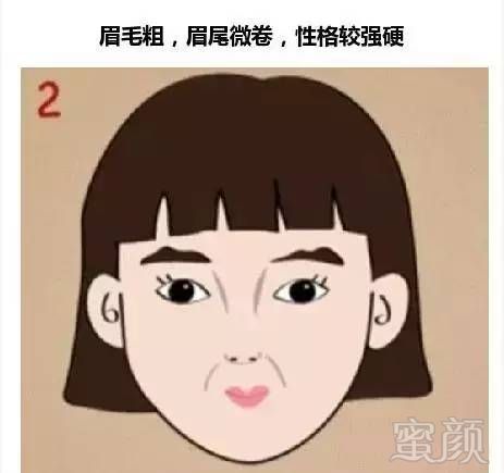 案例图片