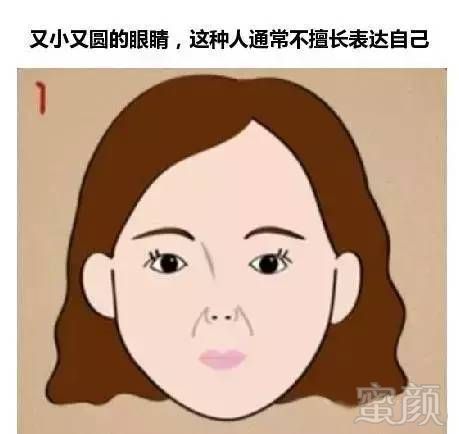 案例图片