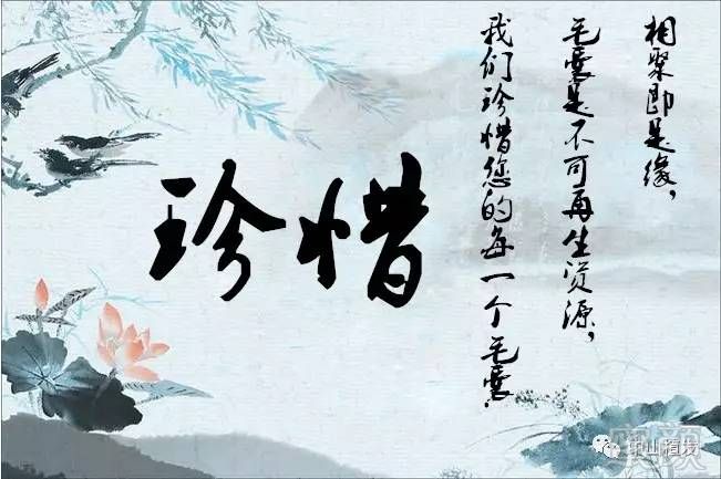 https://img.miyanlife.com/mnt/timg/170616/015145L43-3.jpg
