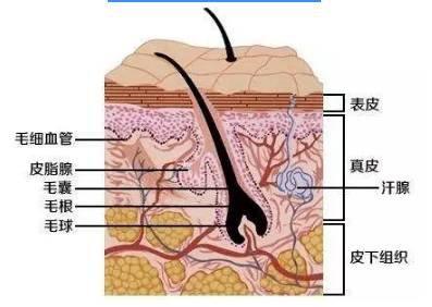 案例图片