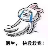 https://img.miyanlife.com/mnt/timg/170618/22255564S-12.jpg