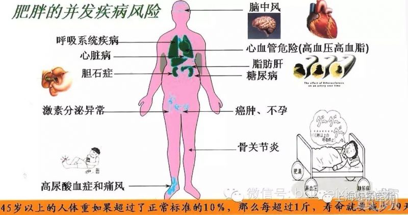 案例图片