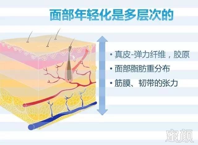 案例图片