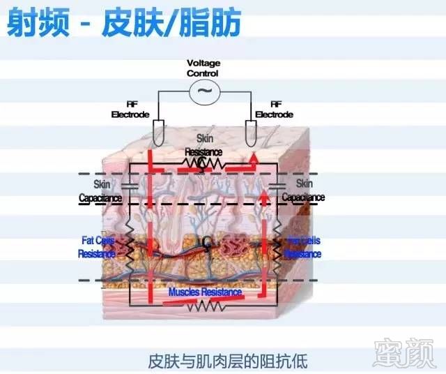 案例图片