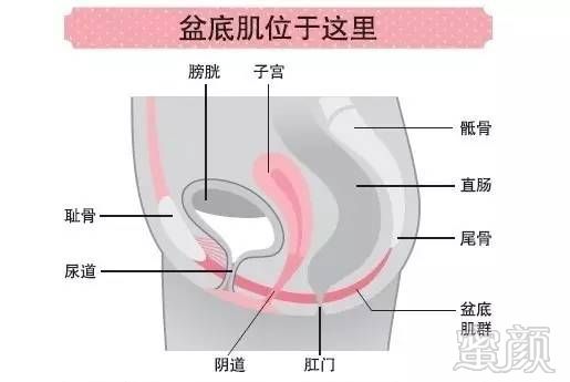 案例图片