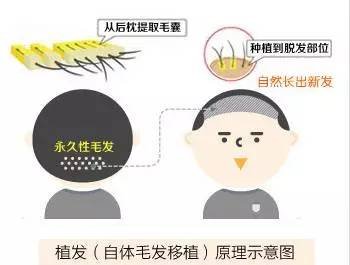 https://img.miyanlife.com/mnt/timg/170627/22095H3M-5.jpg