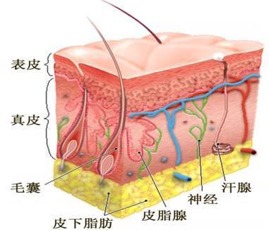 案例图片