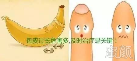 案例图片