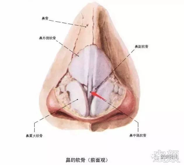 https://img.miyanlife.com/mnt/timg/170629/0UP635V-3.jpg