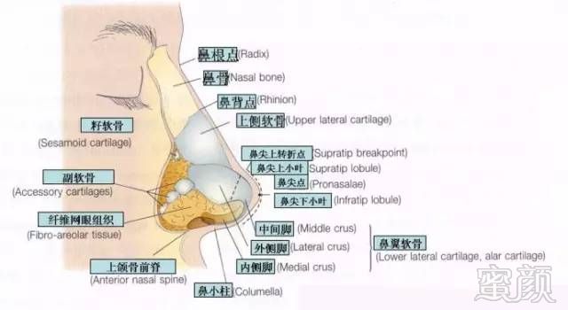 案例图片