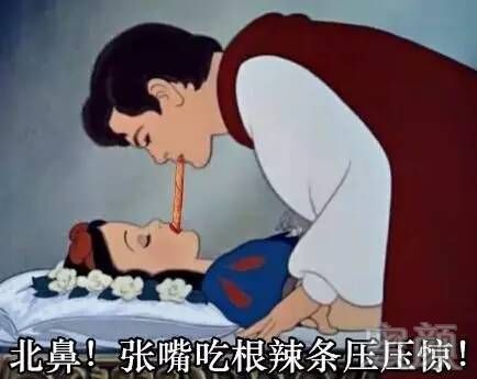 案例图片