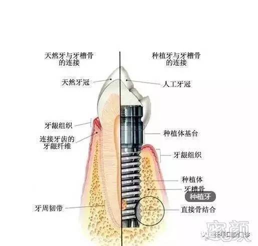 案例图片