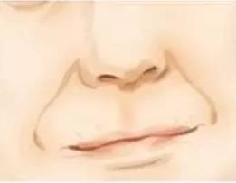 https://img.miyanlife.com/mnt/timg/170702/1R9351595-12.jpg