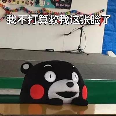 案例图片