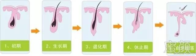 https://img.miyanlife.com/mnt/timg/170704/1R9593V5-0.jpg