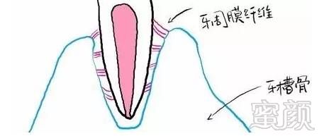 https://img.miyanlife.com/mnt/timg/170705/1032145T5-6.jpg