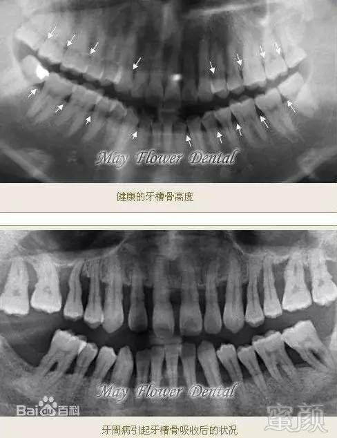 https://img.miyanlife.com/mnt/timg/170706/1H23052S-4.jpg