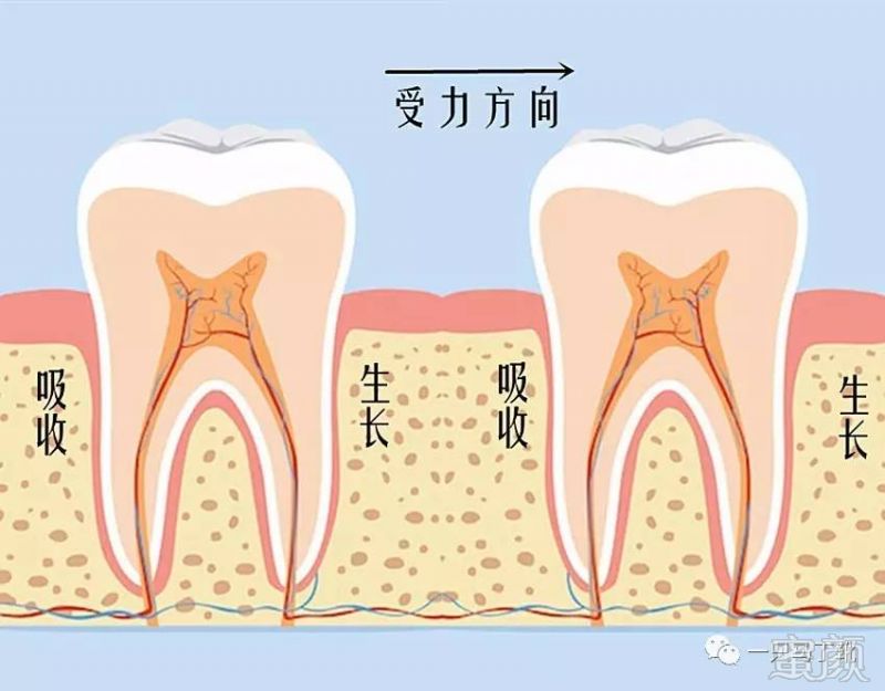 https://img.miyanlife.com/mnt/timg/170706/1H2312Q9-6.jpg