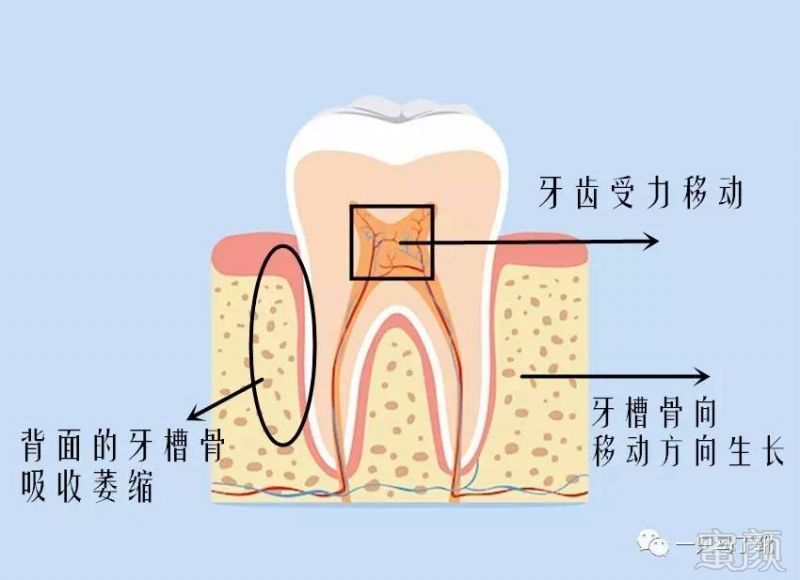 https://img.miyanlife.com/mnt/timg/170706/1H231K61-5.jpg