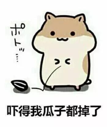 https://img.miyanlife.com/mnt/timg/170710/2006042229-5.jpg
