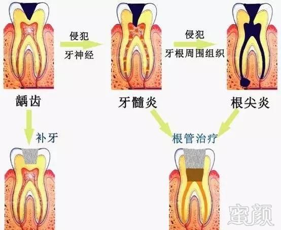 案例图片