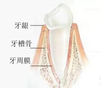 https://img.miyanlife.com/mnt/timg/170714/1U235E40-6.jpg