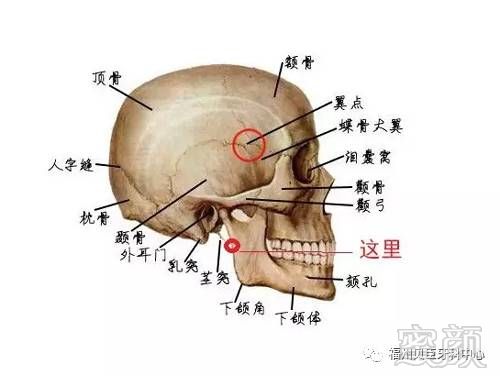 https://img.miyanlife.com/mnt/timg/170714/1U23C1D-8.jpg