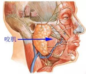 https://img.miyanlife.com/mnt/timg/170714/1U23G502-13.jpg