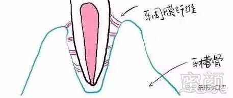 https://img.miyanlife.com/mnt/timg/170717/19145525P-1.jpg