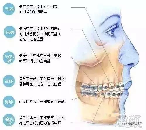 https://img.miyanlife.com/mnt/timg/170717/191455F41-2.jpg