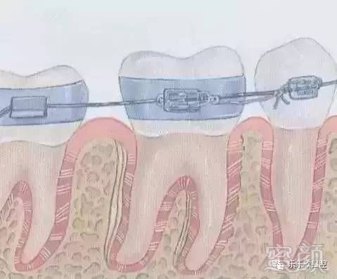 https://img.miyanlife.com/mnt/timg/170717/1914563042-7.jpg