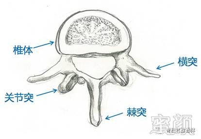 案例图片