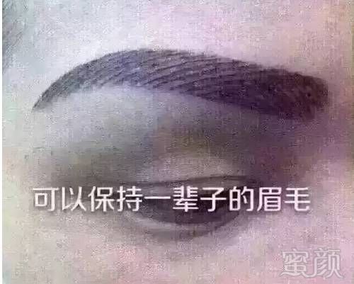 案例图片