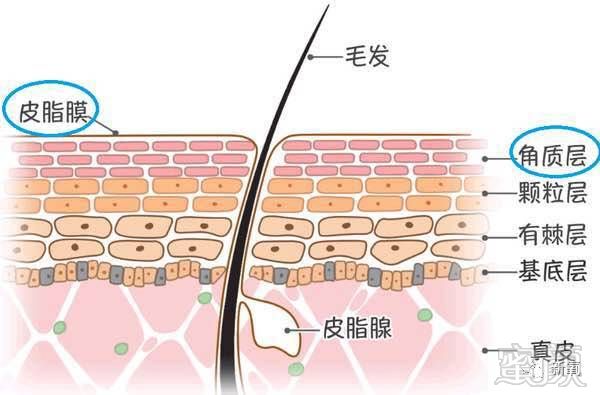 案例图片