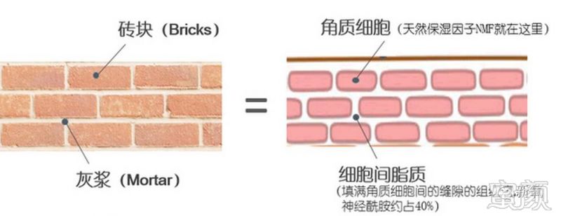 案例图片