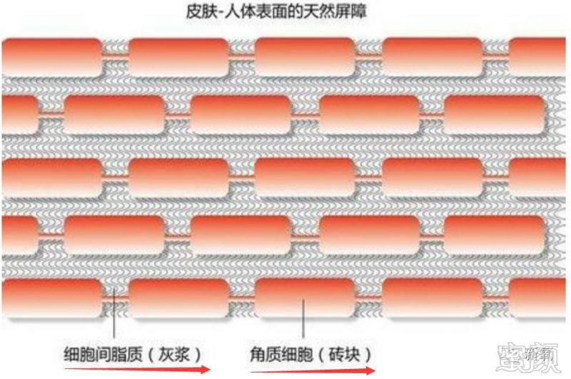 案例图片