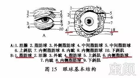 案例图片