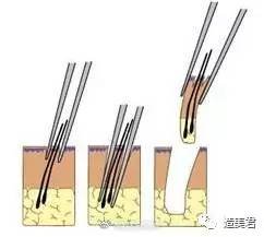 https://img.miyanlife.com/mnt/timg/170722/235953CM-15.jpg