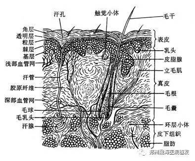 https://img.miyanlife.com/mnt/timg/170723/20120611X-1.jpg